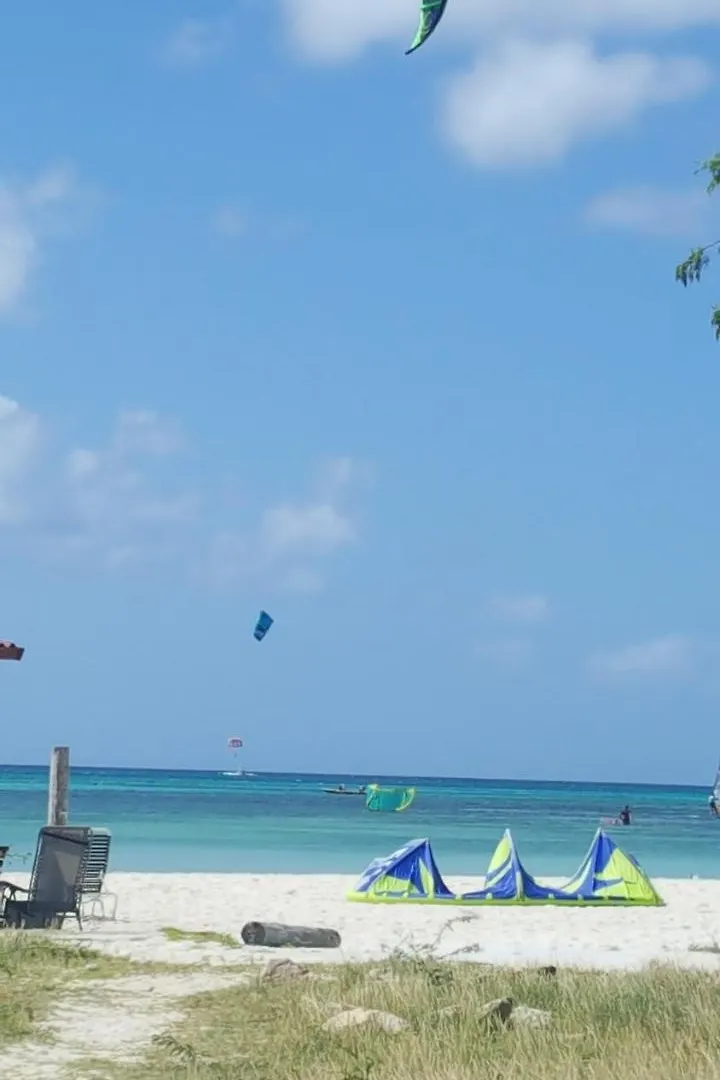 Tropical Studio Apartment Palm Beach