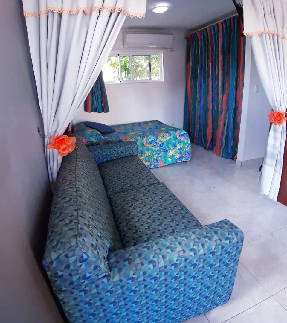 Tropical Studio Apartment Palm Beach